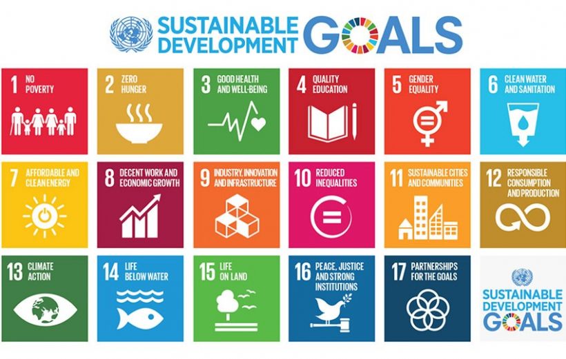 Global Plenary on the Sustainable Development Goals