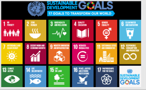 Make it Visible! The educational project on the Sustainable Development Goals has been completed